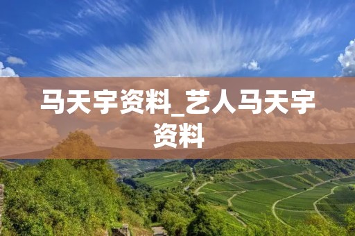 马天宇资料_艺人马天宇资料