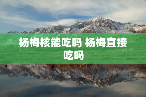 杨梅核能吃吗 杨梅直接吃吗