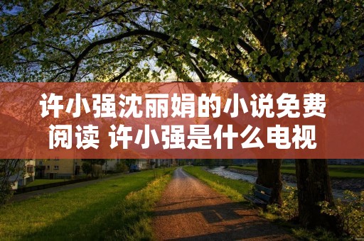 许小强沈丽娟的小说免费阅读 许小强是什么电视剧