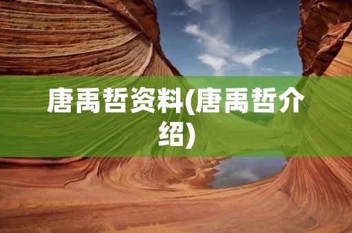 唐禹哲资料(唐禹哲介绍)