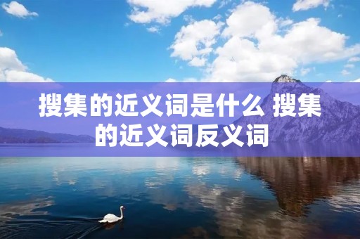 搜集的近义词是什么 搜集的近义词反义词