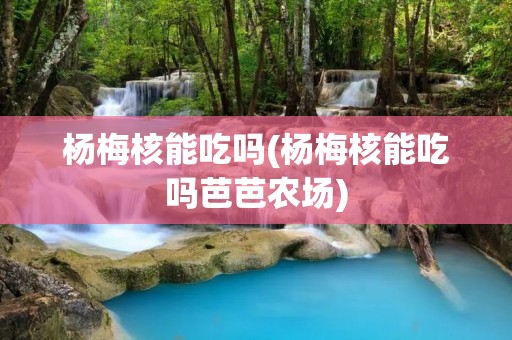 杨梅核能吃吗(杨梅核能吃吗芭芭农场)