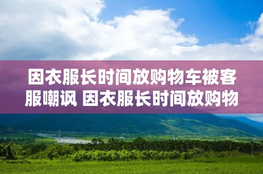 因衣服长时间放购物车被客服嘲讽 因衣服长时间放购物车被客服嘲讽怎么处理