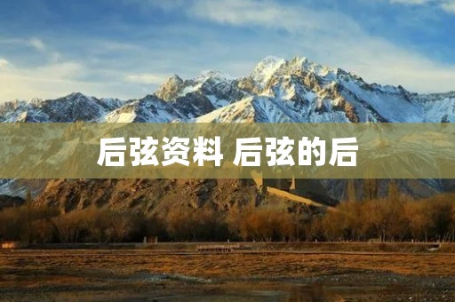 后弦资料 后弦的后