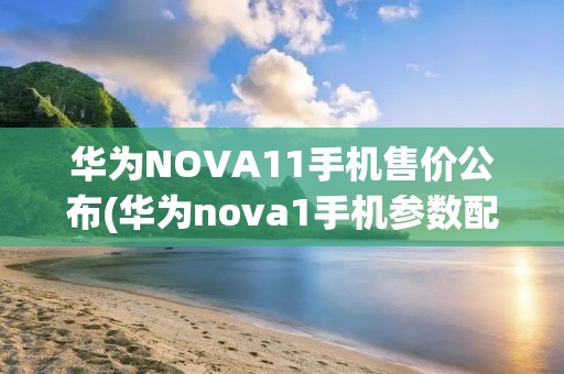 华为NOVA11手机售价公布(华为nova1手机参数配置)