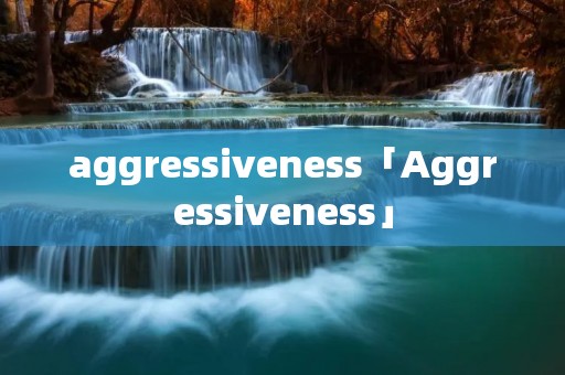 aggressiveness「Aggressiveness」 aggressiveness「Aggressiveness」