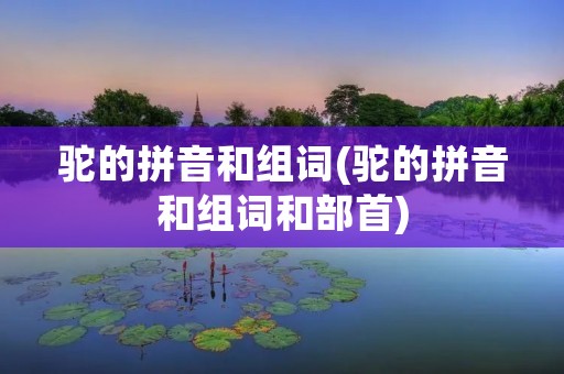 驼的拼音和组词(驼的拼音和组词和部首) 驼的拼音和组词(驼的拼音和组词和部首)