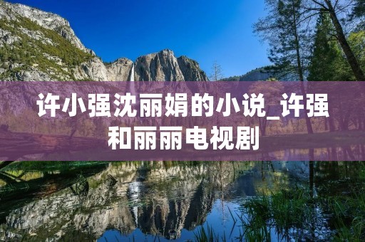 许小强沈丽娟的小说_许强和丽丽电视剧