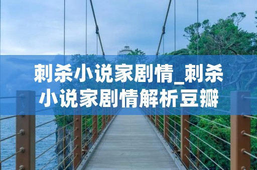 刺杀小说家剧情_刺杀小说家剧情解析豆瓣