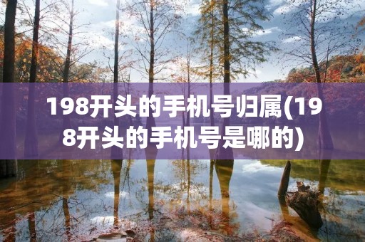 198开头的手机号归属(198开头的手机号是哪的) 198开头的手机号归属(198开头的手机号是哪的)