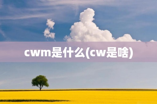 cwm是什么(cw是啥)
