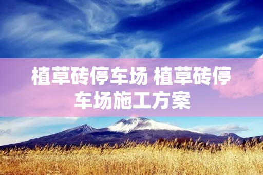 植草砖停车场 植草砖停车场施工方案