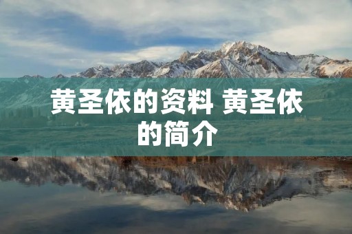 黄圣依的资料 黄圣依的简介