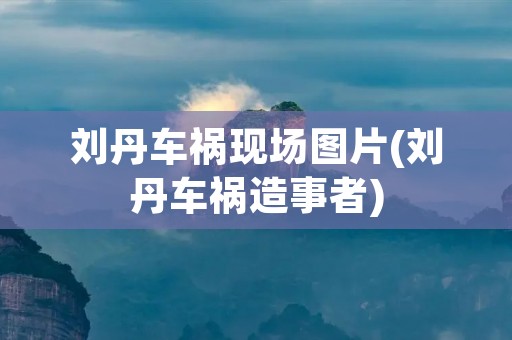 刘丹车祸现场图片(刘丹车祸造事者)
