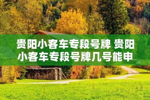 贵阳小客车专段号牌 贵阳小客车专段号牌几号能申请
