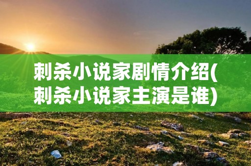 刺杀小说家剧情介绍(刺杀小说家主演是谁)
