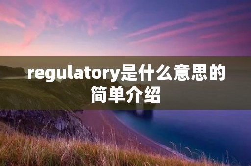 regulatory是什么意思的简单介绍 regulatory是什么意思的简单介绍