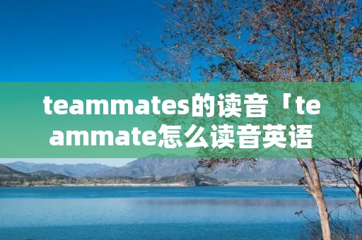 teammates的读音「teammate怎么读音英语」 teammates的读音「teammate怎么读音英语」