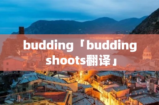 budding「budding shoots翻译」