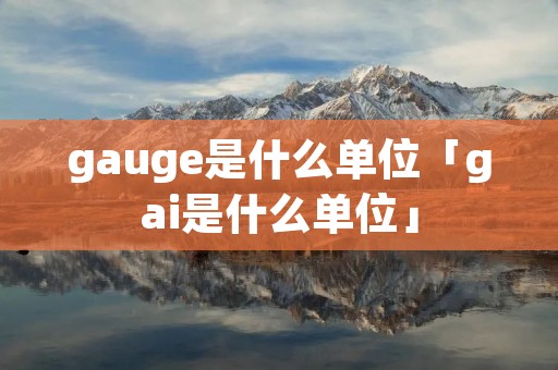 gauge是什么单位「gai是什么单位」