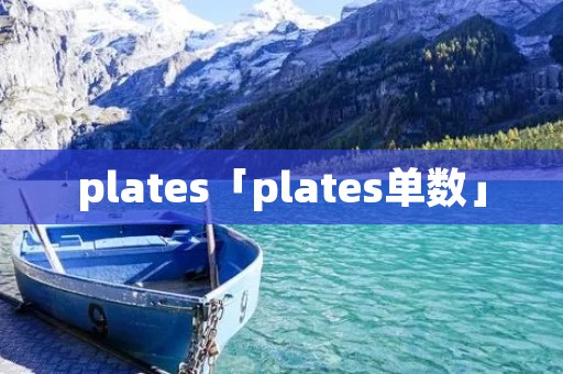 plates「plates单数」 plates「plates单数」