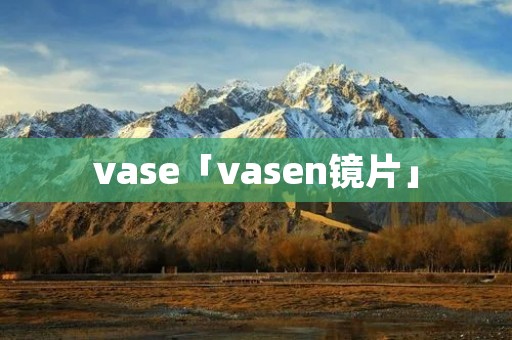 vase「vasen镜片」