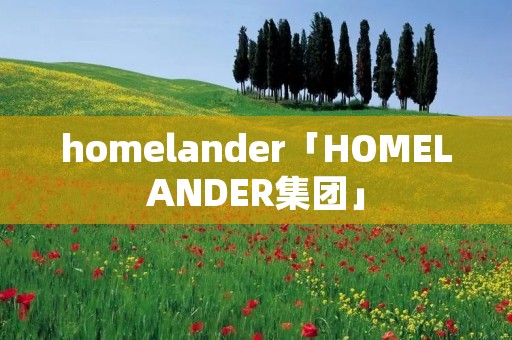 homelander「HOMELANDER集团」