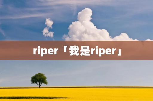 riper「我是riper」