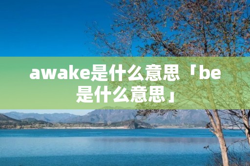 awake是什么意思「be是什么意思」
