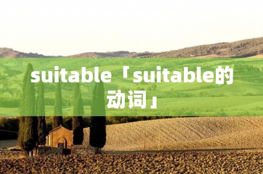 suitable「suitable的动词」