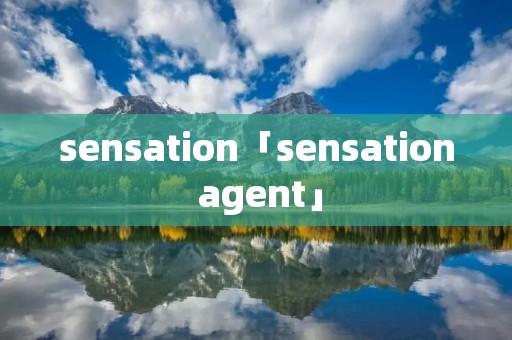 sensation「sensation agent」