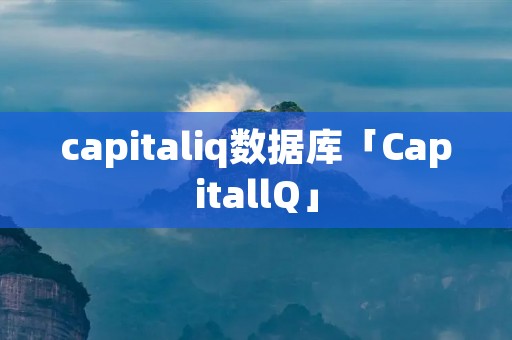 capitaliq数据库「CapitallQ」 capitaliq数据库「CapitallQ」