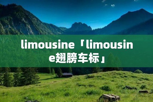 limousine「limousine翅膀车标」