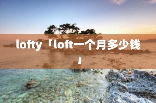 lofty「loft一个月多少钱」