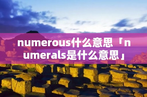 numerous什么意思「numerals是什么意思」