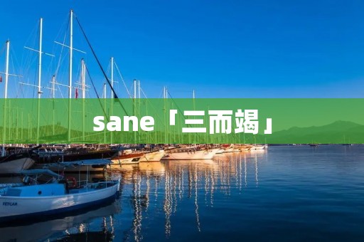 sane「三而竭」