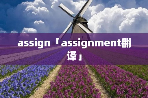 assign「assignment翻译」 assign「assignment翻译」