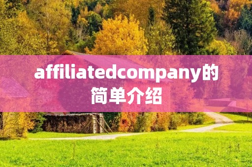 affiliatedcompany的简单介绍
