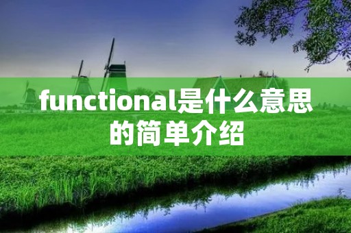 functional是什么意思的简单介绍