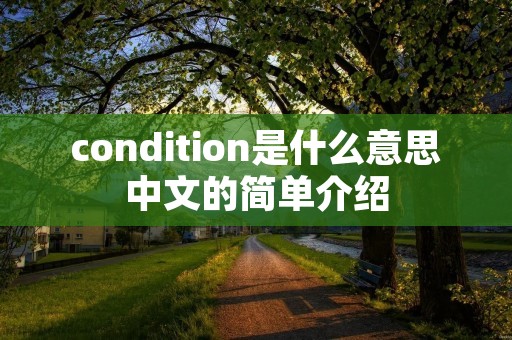 condition是什么意思中文的简单介绍 condition是什么意思中文的简单介绍