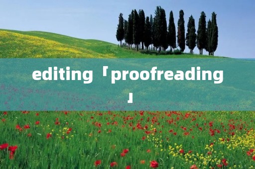 editing「proofreading」