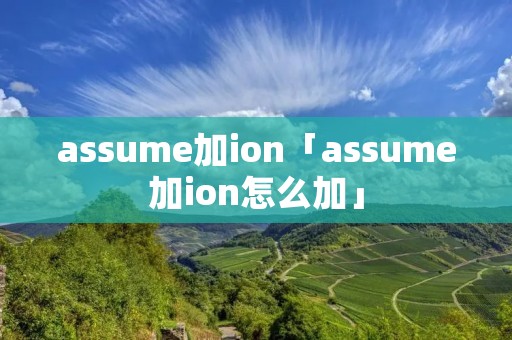 assume加ion「assume加ion怎么加」