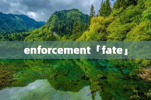 enforcement「fate」
