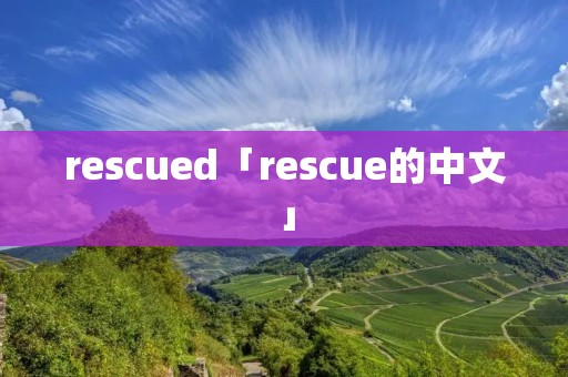 rescued「rescue的中文」