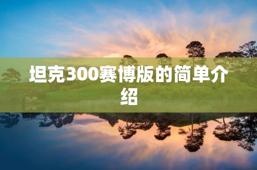 坦克300赛博版的简单介绍