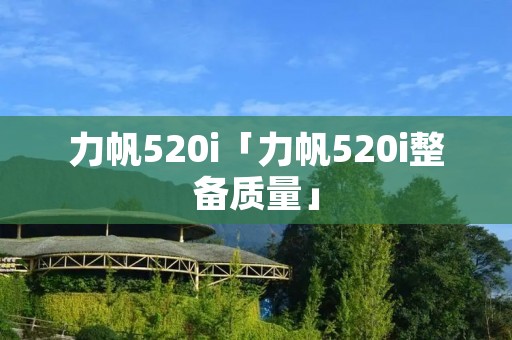 力帆520i「力帆520i整备质量」 力帆520i「力帆520i整备质量」