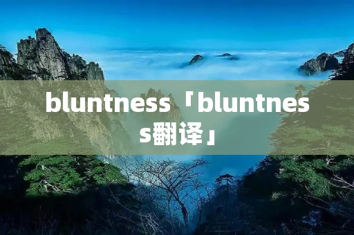 bluntness「bluntness翻译」