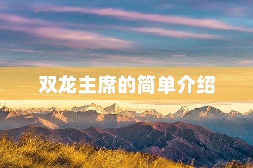 双龙主席的简单介绍 双龙主席的简单介绍