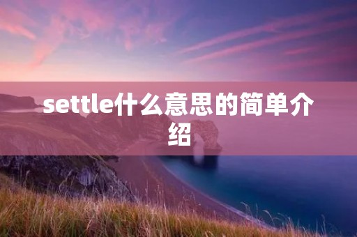 settle什么意思的简单介绍 settle什么意思的简单介绍