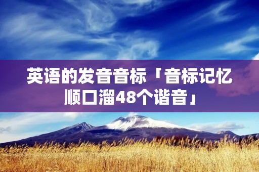 英语的发音音标「音标记忆顺口溜48个谐音」